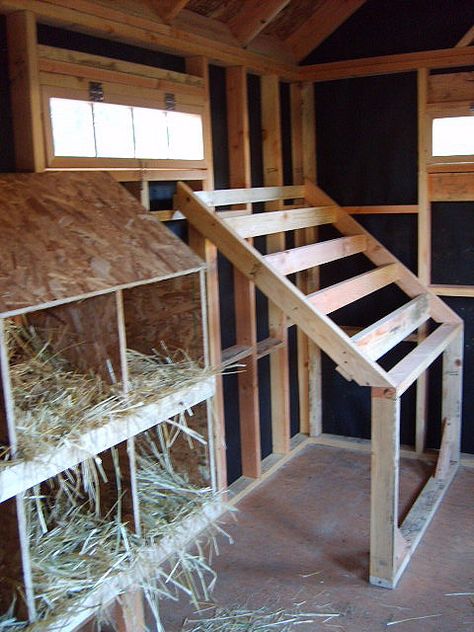 Laying boxes and sleeping latter. The staggered latter prevents hens from soiling one another while they roost at night in these boards. Chicken Nesting Box And Roost, Roosting Boxes For Chickens, 5x5 Chicken Coop Plans, Laying Hens Coop Ideas, Roost For Chicken Coop, 8x8 Shed Chicken Coop, Laying Box Ideas, Diy Laying Boxes, Nesting Boxes Inside Coop