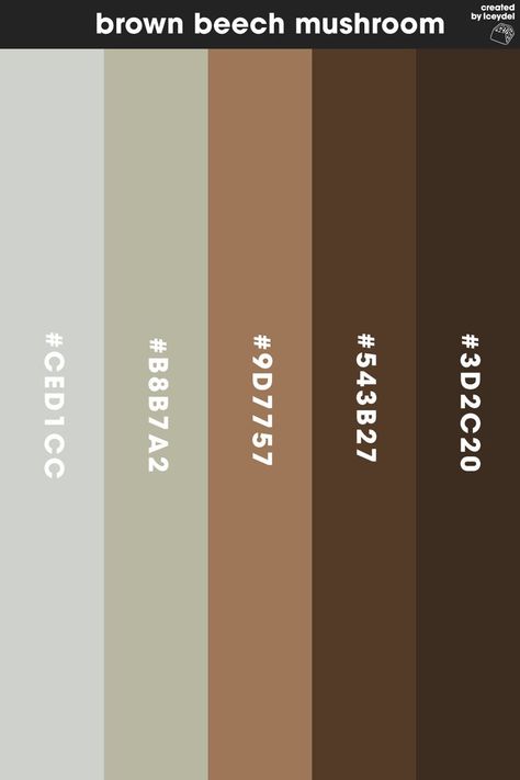 Brown Beech Mushroom inspired colour palette. Providing valuable a colour palette which can be used to colour different designs, whether that be logos, illustrations or related branded content. (Created by Iceydel - Graphic Designer & Illustrator) Mushroom Colour Palette, Colour Pallets, Branded Content, Color Pallets, Colour Palette, Graphic Designer, Mood Boards, Color Palette, Illustrator