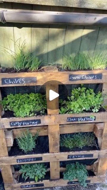 Herb Pallet Garden, Herb Garden Outdoor, Pallet Herb Garden, Aromatic Garden, Pallet Garden Ideas, Pallet Garden Walls, Herb Box, Herb Garden Wall, Herb Garden Ideas