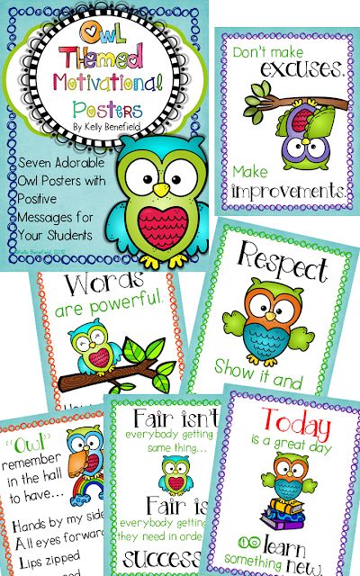 Classroom Bulletin Board Ideas, Owl Classroom Decor, Classroom Back To School, Teaching Displays, Intervention Classroom, Back To School Ideas, Owl Theme Classroom, Owl Classroom, Tutoring Business