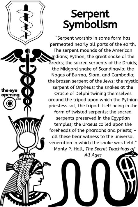 The Snake: a Symbol for Spirit - The Eye Opening Symbol For Spirit, Serpent Symbolism, Culture Around The World, Kemetic Spirituality, Belief System, Sacred Science, Sacred Geometry Symbols, Kundalini Awakening, African Spirituality