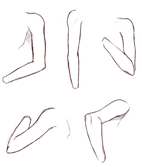 How to draw arms reference How To Draw Arms, Draw Arms, Arms Reference, Anime Arms, Arm Drawing, Body Sketches, Body Drawing Tutorial, Hand Drawing Reference, Hand Reference