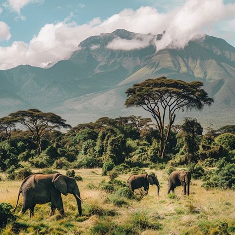 Encountering Elephants in Arusha National Park: A Gentle Giant’s Playground Arusha National Park offers a unique opportunity to observe African elephants in a breathtakingly diverse setting. This park, though smaller than Tanzania’s other safari destinations, provides a lush landscape where elephants roam against the backdrop of Mount Meru. Visitors can watch these majestic creatures as they gracefully navigate the montane forest, providing an intimate glimpse into the life of one of Africa’... African Mural, Africa Forest, African Forest, Wild Park, Style Development, Mount Meru, Mural Inspiration, African Landscape, Mount Kenya