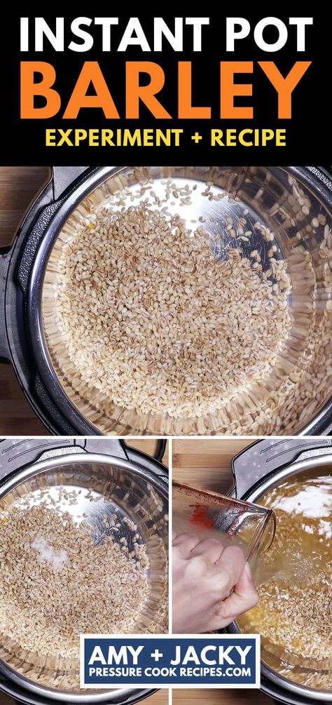 instant pot barley | instant pot pearl barley | pearl barley pressure cooker Pot Barley Recipes, Barley Instant Pot, Ip Rice, Pearled Barley, Barley Water, How To Cook Barley, Barley Recipe, Beef Barley, Beef Barley Soup