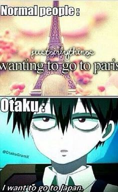 otaku girl - Noragami Bishamon, Otaku Problems, Blood Lad, Otaku Issues, Shojo Anime, Rin Okumura, Go To Japan, Anime Jokes, Normal People