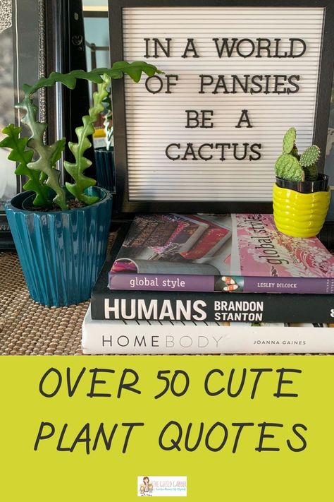 These 50+ funny plant quotes and garden quotes will bring some sass to your home or garden area! Use the short and simple sayings to make outdoor garden signs or chalkboards and letter boards for the inside of your house. These quotes are great ways to add decor to display around your growing potted houseplants, hanging plants, air plants, succulents, herbs and garden plants! Displaying houseplants with fun, cute quotes will add more life to your place! Chalkboard Sayings For Home Funny, Succulent Signs Funny, Funny Garden Decor, Quotes On Gardening, Plant Signs Funny, Plant Signs Decor, Cute Plant Sayings, Fun Flower Pots, Funny Cactus Sayings