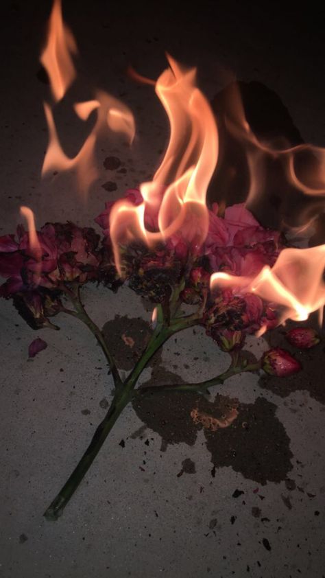 I Would Burn The World For You, Burning Flowers Aesthetic, Burned Aesthetic, Indigo Photoshoot, Burning Photography, Paper On Fire, Burning Aesthetic, Burning Photos, Kiki Core