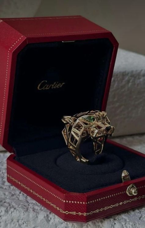 Jewellery Lookbook, Old Money Luxury, Cartier Jewellery, Cartier Panther, Money Luxury, Eccentric Style, Dream Rings, Cartier Panthere, Rings Accessories