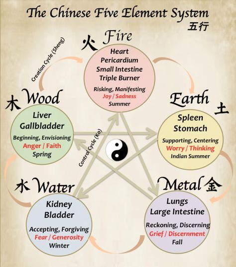 Five-Elements 5 Elements Chinese Medicine, Elements Personality, Traditional Chinese Medicine Acupuncture, Tcm Traditional Chinese Medicine, Element Chart, Asian Medicine, The Five Elements, Chinese Element, Five Elements