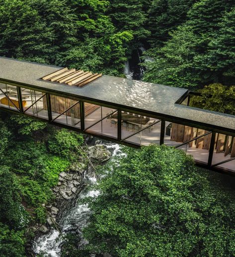 Farmhouse in Catargo, Costa Rica by Tetr|Visualization Architecture Blending With Nature, Architecture In Forest, Continuity Architecture, Forest House Architecture, House Built Into Hill, Forest Architecture, Forest Hotel, Bridge House, Ecological House