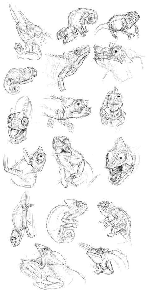 Ideas For Drawing Sketches, Cameleon Art, Chameleon Tattoo, Lizard Art, Chameleon Art, Animal Caricature, Dreamy Artwork, Theme Nature, Ideas For Drawing