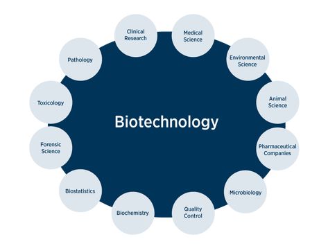 Biotechnology Careers, Science Academia, Academic Comeback, Biochemical Engineering, Microbiology Lab, Chemistry Basics, Biology Major, Biomedical Science, Biology Lessons