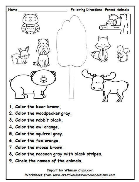 Following directions is fun with this delightful forest animal worksheet. Find more freebies and lots of great units at: www.creativeclassroomconnections.com. Following Directions Worksheet, Follow Directions Worksheet, Directions Worksheet, Following Directions Activities, Animal Worksheets, Kindergarten Worksheets Printable, Animal Activities, Kindergarten Math Worksheets, Following Directions