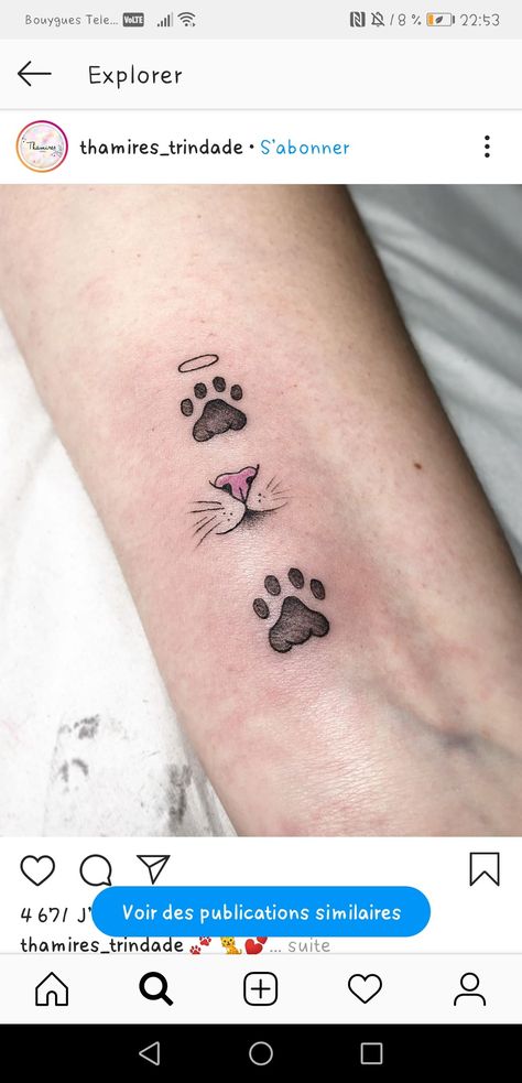 Cat Paw Print Tattoo Collar Bone, Cat Nose Print Tattoo, Baby Owl Tattoos, Cat Paw Print Tattoo, Nose Tattoo, Cat Paw Tattoos, Body Enhancement, Tiny Paw Print, Pet Memorial Tattoo