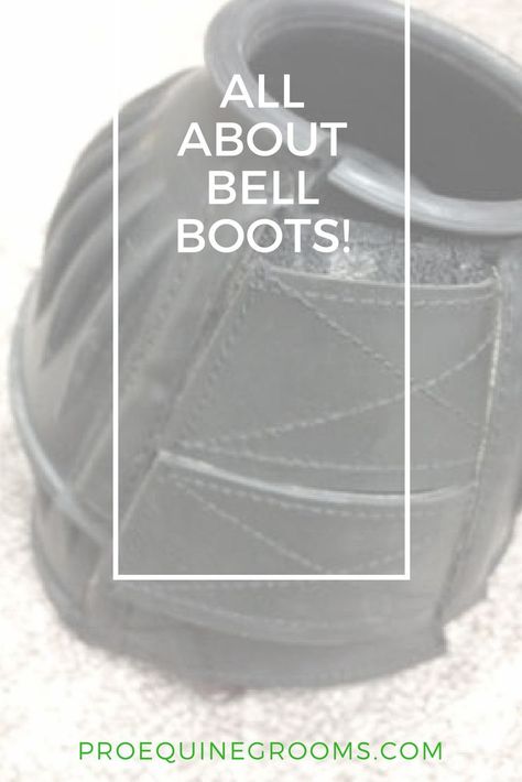 Bell boots for horses. Choosing the right pair of bell boots for your horse - there are many factors for horse owners to consider. There are many styles and types of bell boots available, from low to high tech. Barn Hacks, Bell Boots, Horse Care Tips, Equestrian Helmet, Horse Equipment, Horse Tips, Horse Grooming, Horse Diy, Equestrian Lifestyle