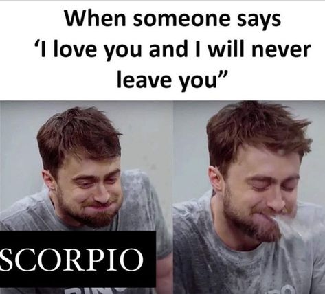 Funny Scorpio Quotes, Scorpio Meme, Zodiac Mind Scorpio, Scorpio Funny, Leo Signs, Zodiac Quotes Scorpio, Astrology Scorpio, Scorpio Girl, Scorpio Zodiac Facts