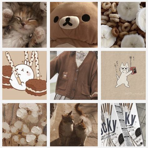 Bear Moodboard, Cat Moodboard, F2u Moodboards, Adopt Idea, Art Help, Aesthetic Board, Board Inspiration, Brown Cat, Pretty Images