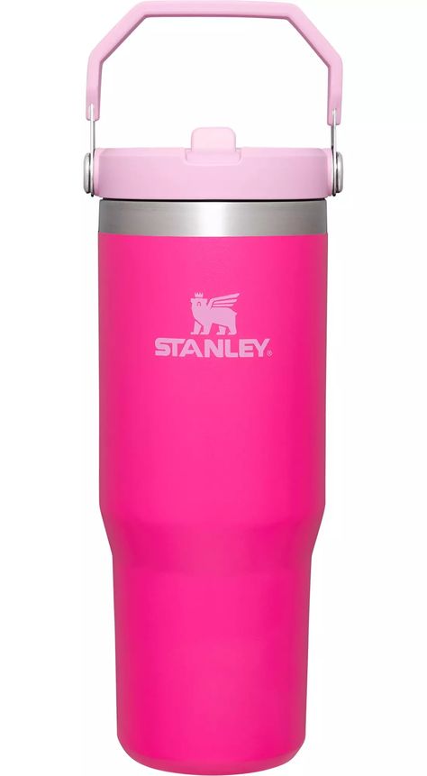 Stanley Water Bottle, Trendy Water Bottles, Workouts At Home, Straw Tumbler, Cute Water Bottles, Functional Style, Birthday List, Cute Cups, Starbucks Drinks