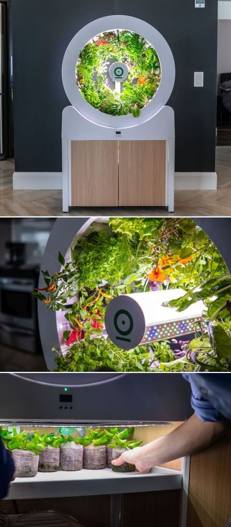 Hydroponics Diy Indoor, Growing Food Indoors, Garden Gadgets, Smart Farm, Indoor Farming, Vegetable Planters, Hydroponics Diy, Smart System, Areas Verdes