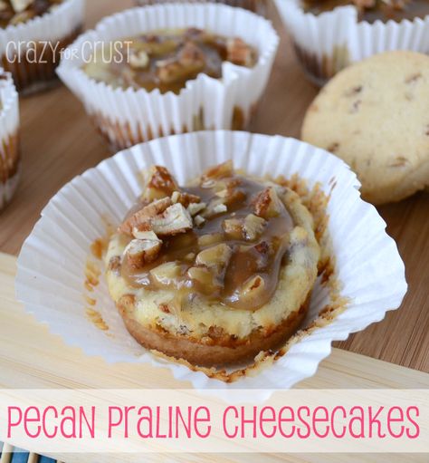 Pecan Praline Cheesecakes by www.crazyforcrust.com | A Pecan Sandie crust topped with toffee cheesecake and a pecan praline topping. #praline #cheesecake Mini Pecan Cheesecakes, Pecan Praline Topping, Pecan Sandie, Pecan Sandies Cookies, Praline Cheesecake, Toffee Cheesecake, Pecan Sandies, Mini Pecan Pies, Pecan Praline