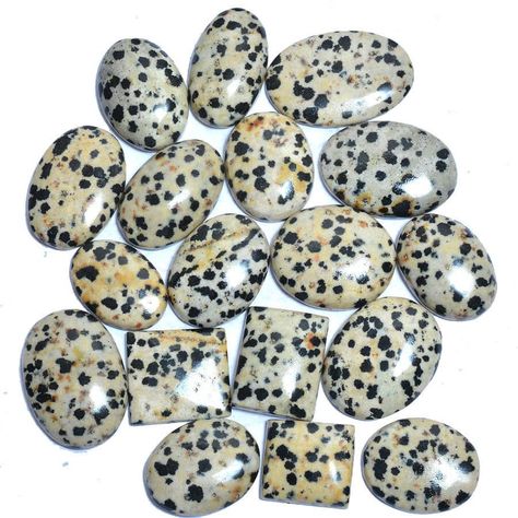 Dalmatian Jasper: Meaning, Healing Properties, and Powers Dalmatian Jasper Meaning, Jasper Meaning, Cosmic Rays, Dalmatian Stone, Neurological System, Dalmatian Jasper, Crystal Therapy, Root Chakra, Jasper Gemstone