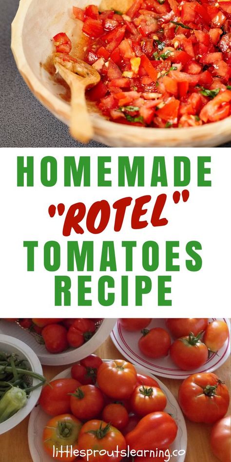 HOMEMADE ROTEL RECIPE: Rotel tomatoes are a spicy diced tomato product with green chilies for heat. It's a great flavor enhancer for dishes like queso, casseroles, and soups. You can make your own Rotel tomatoes recipe with your garden tomatoes this summer and fill your freezer full of flavor for the whole year. Tomatoes With Green Chilies Recipes, Tomatoes For Chili, Rotel Tomatoes Recipes Dinners, Rotel Tomatoes Recipes, Homemade Rotel Tomatoes, Housewife Skills, Rotel Recipe, Homemade Rotel, Football Dips