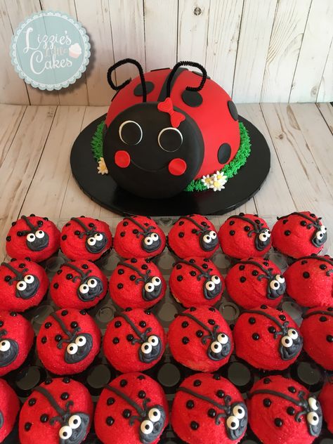 Ladybug Cupcakes Ideas, Ladybug Birthday Cupcakes, Ladybug Appetizers, Ladybug Birthday Cake, Bug Birthday Cakes, Cake Sculpting, Ladybug Ideas, Ladybird Cake, Ladybug Decor