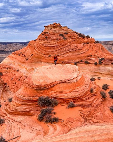 Australian Desert Landscape, Australia Desert, Desert Canyon, Australian Outback, Australian Desert, Ashley I, Desert Animals, Cool Rocks, Rock Formations