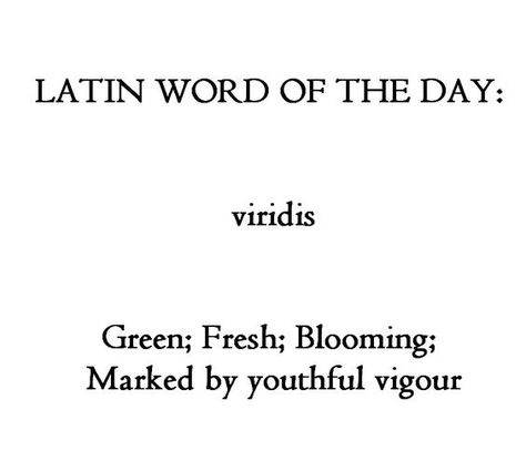 Latin Language Learning, Learning Latin, Learn Latin, Latin Quotes, Latin Language, Unique Words Definitions, Latin Phrases, Latin Word, Word Nerd