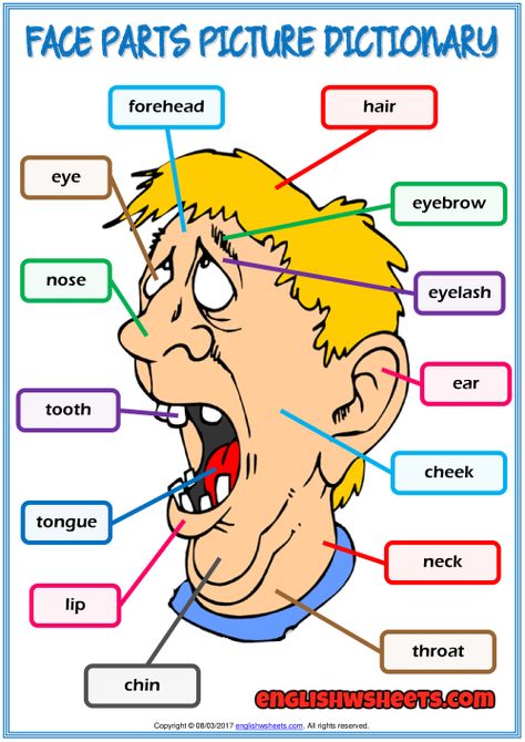 Face Parts ESL Printable Picture Dictionary For Kids Face Vocabulary, Body Parts For Kids, Dictionary For Kids, Face Parts, Body Parts Preschool, Missing Letters, Ordinal Numbers, Esl Vocabulary, English Activities For Kids