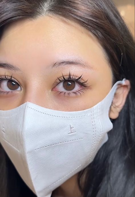 Eyelash Extensions Manga, Natural Lashes Asian Eyes, Manhua Lash Extensions, Japanese Eyelash Extensions, Korean Lash Extensions, Eyelash Extensions Korean, Manhua Lashes, Doll Lashes, Natural Fake Eyelashes