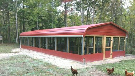 Chicken #chickenhouse Commercial Design In Pdf #designinpdf Agriculture Bird Poultry Farm Design #poultryfarmdesign Poultry Shed Design and Construction #poultrysheddesignandconstruction Plan Information Low cost poultry Shed desig Poultry farming gives us many other by products like #farming eggs and meat The eggs and chicken are the most profitable income for the rearers As chicken has How much does a poultry shed cost? #howmuchdoesapoultryshed How much does it cost to build a poultry farm Chicken House Plans, Poultry Farm Buildings, Reban Ayam, Como Plantar Pitaya, Poultry Farm Design, Walk In Chicken Coop, Chicken Coop Garden, Chicken Shed, Poultry Farming