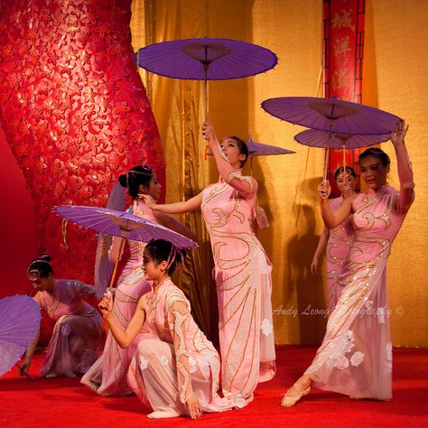 Chinese Umbrella Dance Umbrella Dance, Chinese Umbrella, Cultural Dance, Chinese Dance, Dance Art, Central Asia, Cool Costumes, Rwby, Belly Dance