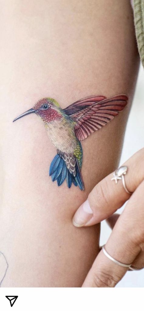 Humming Bird Tattoo With Color, Hummingbird Tattoos Color, Hummingbird Flower Tattoos Shoulder, Humming Bird Tattoo Color, Hummingbird Floral Tattoo Design, Colorful Hummingbird Tattoo With Flowers, Hummingbird Tattoo Colorful, Hummingbird Tattoo On Wrist, Hummingbird Color Tattoo