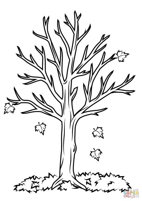 Fall Coloring Pages For Kids Fall Tree Coloring Page Free Printable Coloring Pages Fall Tree Template Printable Free, Fall Leaves Coloring Pages, Fall Coloring Sheets, Tree Coloring, Fall Tree Painting, Leaf Coloring Page, Picture Tree, Tree Templates, Tree Coloring Page