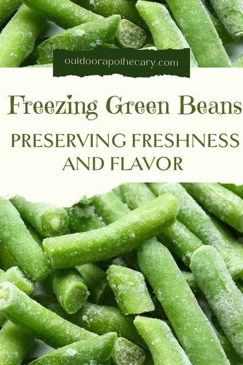 How To Freeze Beans From The Garden, How To Freeze Green Beans, Freezing Fresh Green Beans, Preserving Green Beans, Outdoor Apothecary, Freeze Beans, Homestead Recipes, Can Green Beans, Freeze Greens