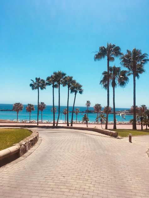 Gran Canaria: Diese 10 schönsten Orte musst du gesehen haben | The Fashionable Blog Gran Canaria Beach, Grand Canaria, City Scene, Direct Mail, Island Travel, Island Beach, Canary Islands, Desert Landscaping, Luxury Resort