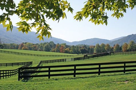 Black Fences, Country Backroads, Perfect Yard, Horse Pasture, Horse Paddock, Dream Stables, Sugar Hill, Future Farms, Dream Life House