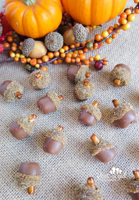 Acorn Sweets, Woodland Treats, Acorn Chocolate Kisses, Donut Hole Acorns Fall Treats, Acorn Looking Treats, Edible Acorns Hershey's Kisses, Edible Acorns, Acorn Treats, Acorn Recipe