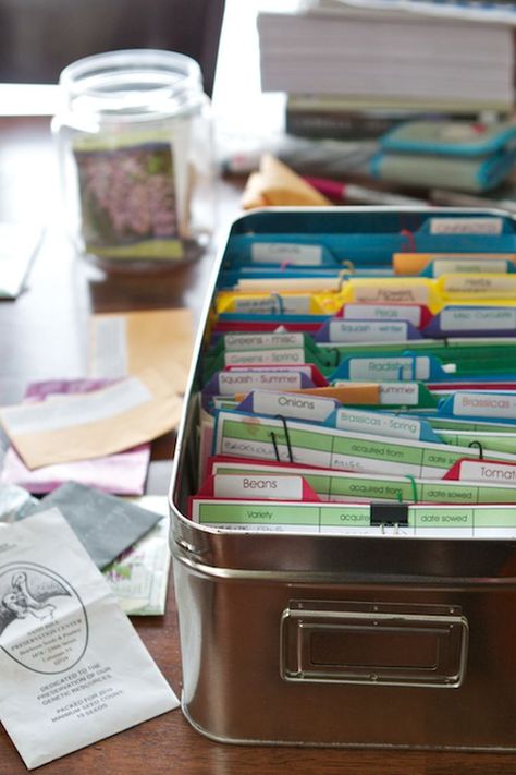 Simple and Creative Seed Storage Ideas Organize Seeds, Seed Storage, Seed Saving, Gardening Supplies, Seed Starting, Veggie Garden, Growing Food, Farm Gardens, Edible Garden