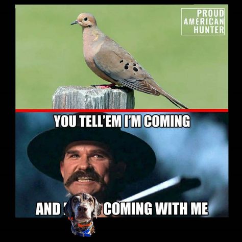 Benjamin Russo on Instagram: “Countdown to my favorite hunt of the year! 20 days until dove season and the memes never get old! . . . #dove #dovehunting #openingday…” Dove Season, Dove Hunting, The Memes, Bird Hunting, Opening Day, Getting Old, The Year, Hunting, My Favorite