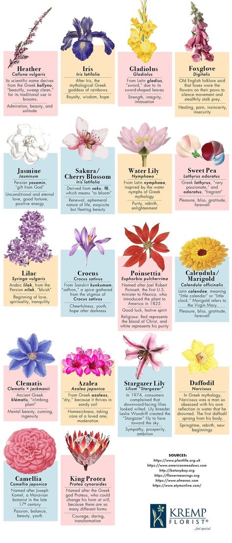 Flower Meanings Chart, Iris Flower Tattoo, Flower Chart, Gladiolus Flower, Flower Guide, Flower Meanings, Nothing But Flowers, Flower Therapy, Flower Names