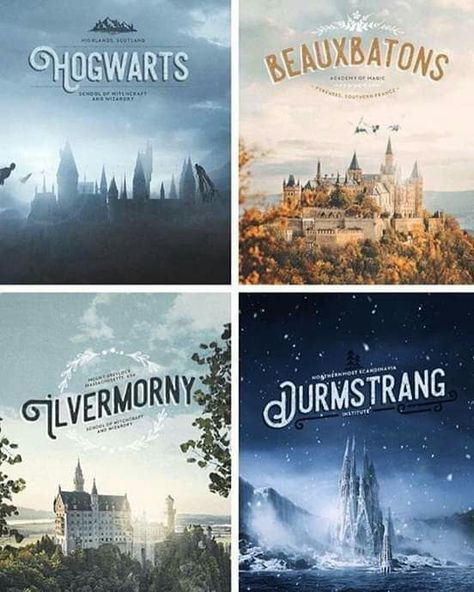 Wizarding Schools in Harry Potter Series Wizarding Schools, Glume Harry Potter, Buku Harry Potter, 9gag Funny, Images Harry Potter, Harry Potter Fanfiction, Harry Potter Pictures, Harry Potter Collection, Harry Potter Facts