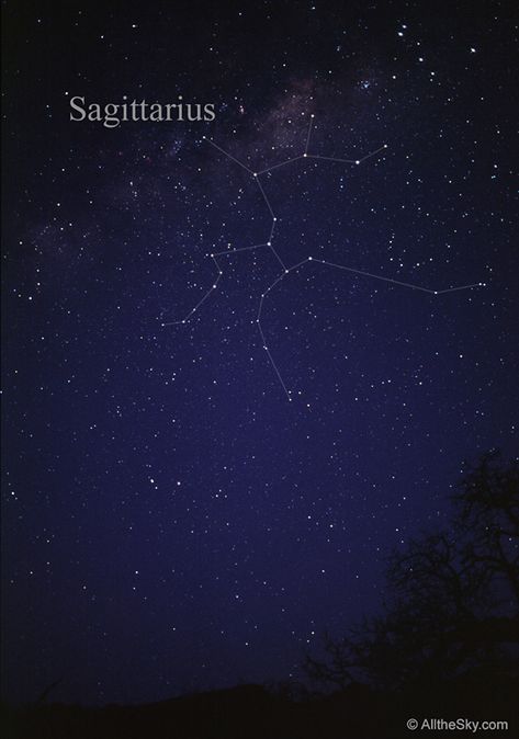 Saggitarius Constellation Aesthetic, Archer Constellation, Constellation Aesthetic, Sagittarius Flower, Constellation Sagittarius, Eternal Optimist, Personal Affirmations, Leo Constellation Tattoo, Aries Constellation Tattoo