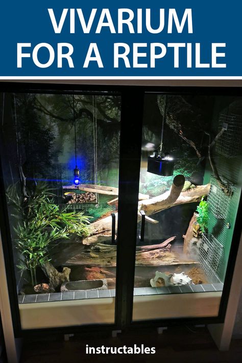 Iguana Enclosure, Snake Breeding, Pet Iguana, Iguana Cage, Snake Breeds, Diy Reptile, Dino Park, Green Iguana, Reptile Room