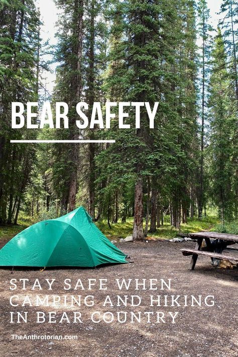 How to stay bear-safe when traveling in the mountains | Rocky mountains, bear spray, bear tips, camping, hiking, safety, wilderness, travel Bear Safety, Camping Safety, Camping Diy, Backcountry Camping, Camping List, Backpacking Tips, Camping Checklist, Camping Supplies, Camping Essentials