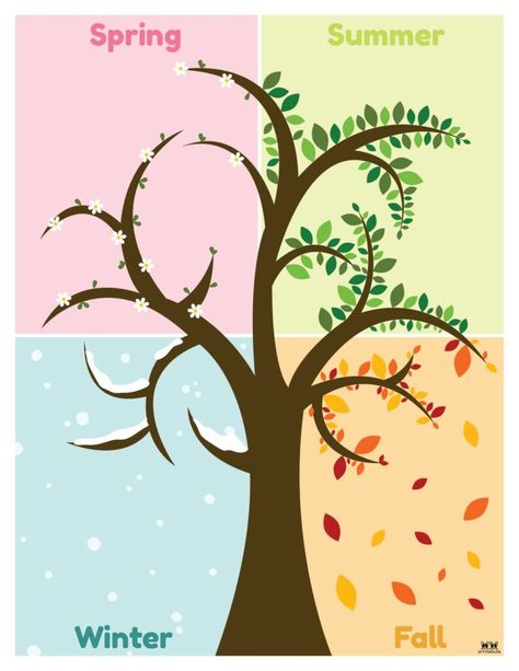 Choose from 51 unique four seasons worksheets and printables to both learn the seasons and display them in your classroom. 100% FREE! Seasons Classroom Display, Trees In Different Seasons, Seasons Chart, Classroom Tree, Seasons Worksheets, Tuesdays With Morrie, India Poster, Seasons Activities, 4 Images