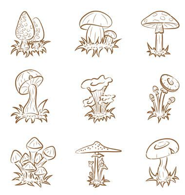 Mushrooms Nature, Trippy Drawings, Mushroom Tattoos, Mushroom Drawing, Mushroom Art, Trippy Art, Doodle Drawings, Art Drawings Sketches, Doodle Art