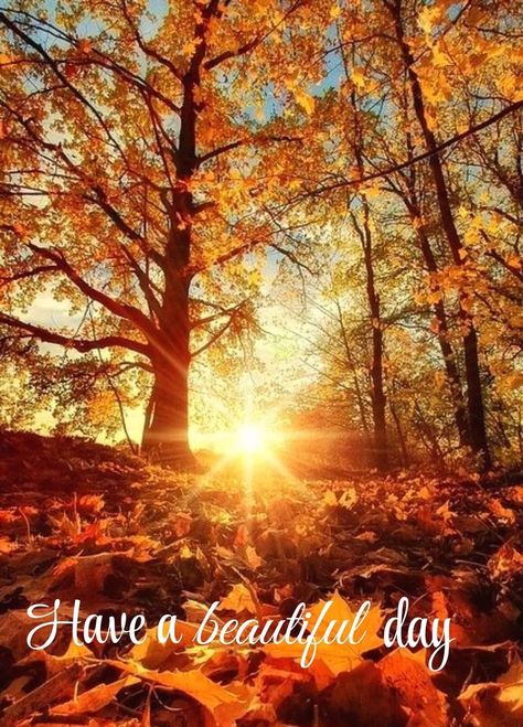 Good Afternoon Fall Quotes, Happy Sunday Autumn Images, Good Morning Happy Saturday Fall, Autumn Weekend Quotes, Happy Saturday Autumn Images, Good Morning Meme, Weekend Greetings, Good Morning Happy Saturday, In Loving Memory Quotes