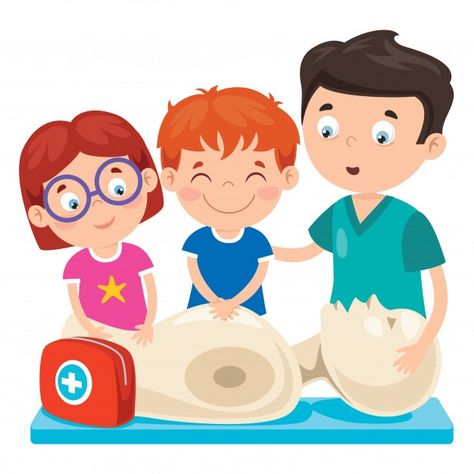 Cartoon character training first aid Pre... | Premium Vector #Freepik #vector #character #cartoon #teacher #kids Premium Vector Cartoon, Character Cartoon, Vector Character, Vector Cartoon, First Aid, Cartoon Character, Cartoon Characters, Premium Vector, Graphic Resources